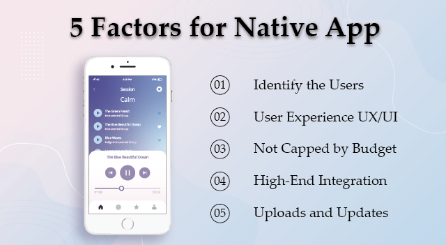 Native App, development of native app, development of android app, development of iOS app, factors of native app, Native App Development, engineer master solutions